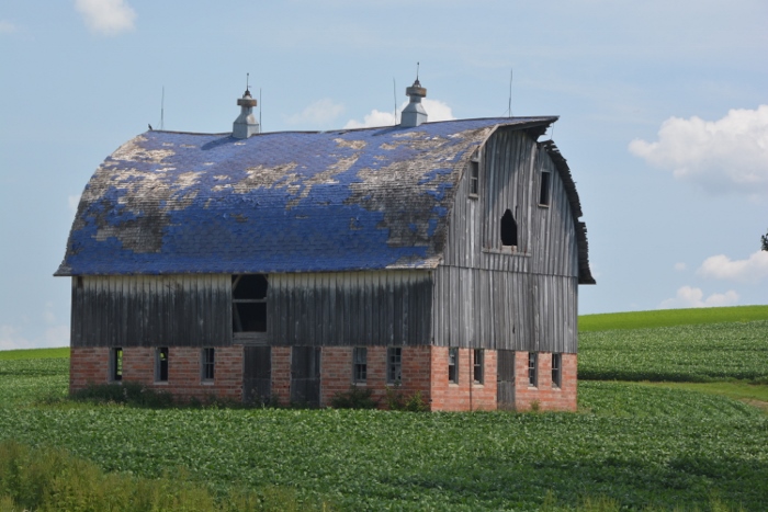 blue-roofed barn